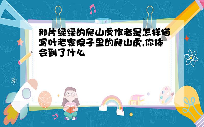 那片绿绿的爬山虎作者是怎样描写叶老家院子里的爬山虎,你体会到了什么