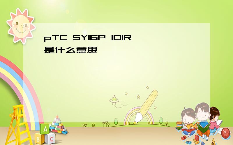 pTC SY16P 101R是什么意思