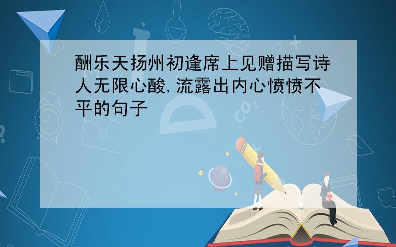 酬乐天扬州初逢席上见赠描写诗人无限心酸,流露出内心愤愤不平的句子