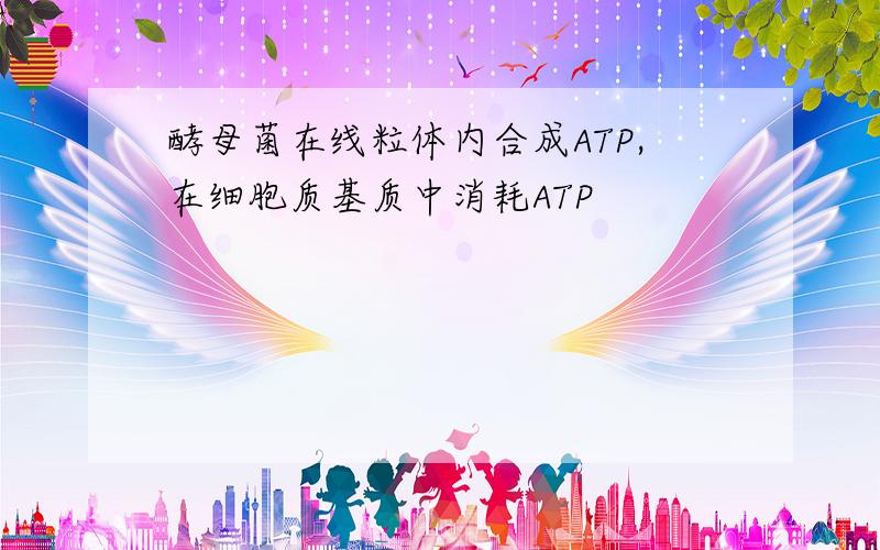 酵母菌在线粒体内合成ATP,在细胞质基质中消耗ATP