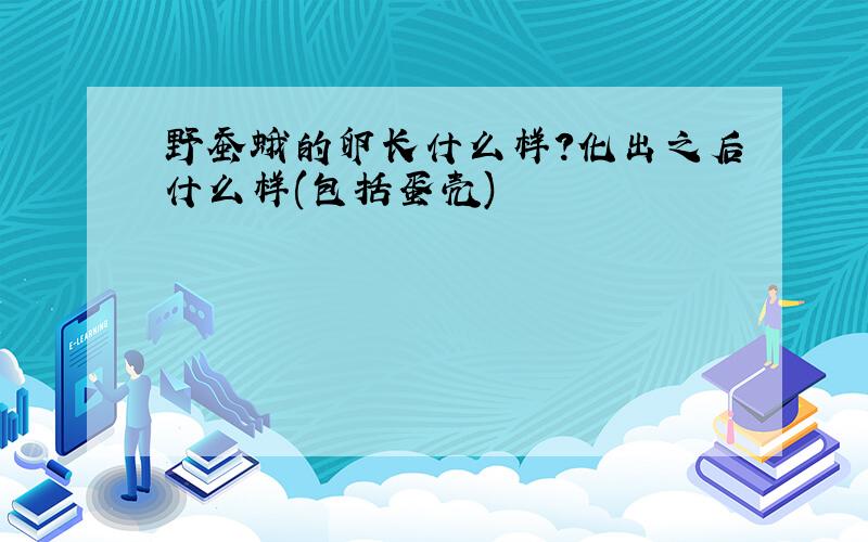 野蚕蛾的卵长什么样?化出之后什么样(包括蛋壳)