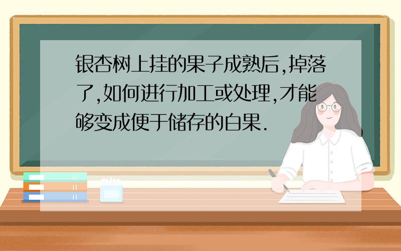 银杏树上挂的果子成熟后,掉落了,如何进行加工或处理,才能够变成便于储存的白果.