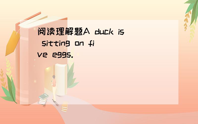 阅读理解题A duck is sitting on five eggs.