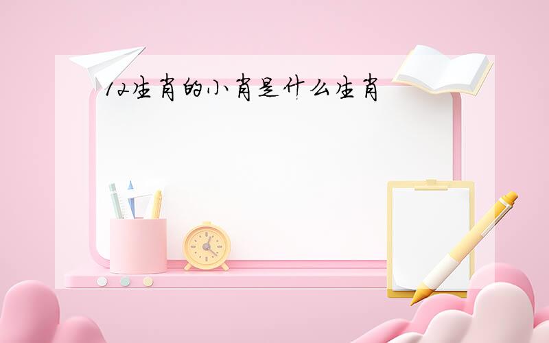 12生肖的小肖是什么生肖