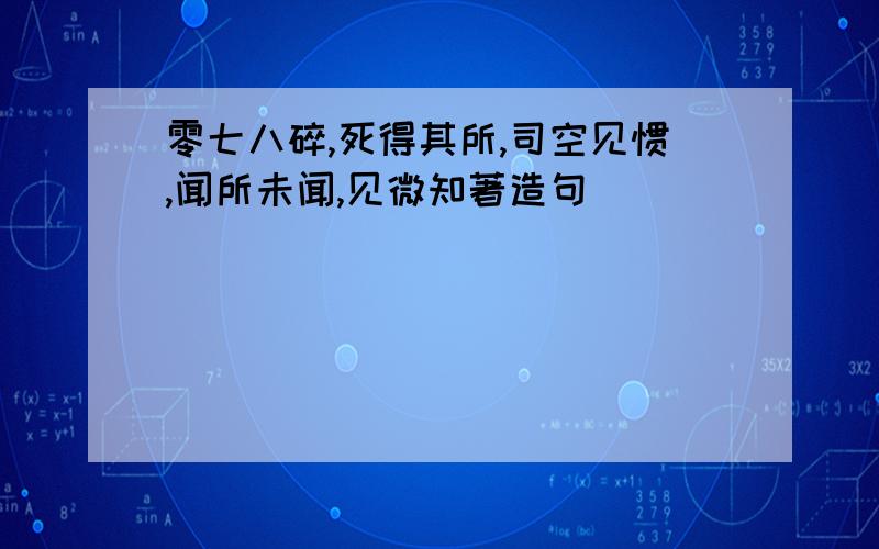 零七八碎,死得其所,司空见惯,闻所未闻,见微知著造句