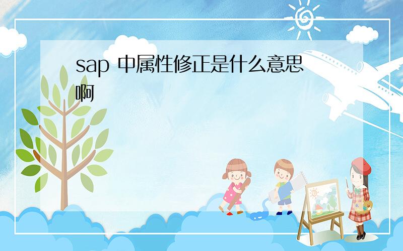 sap 中属性修正是什么意思啊