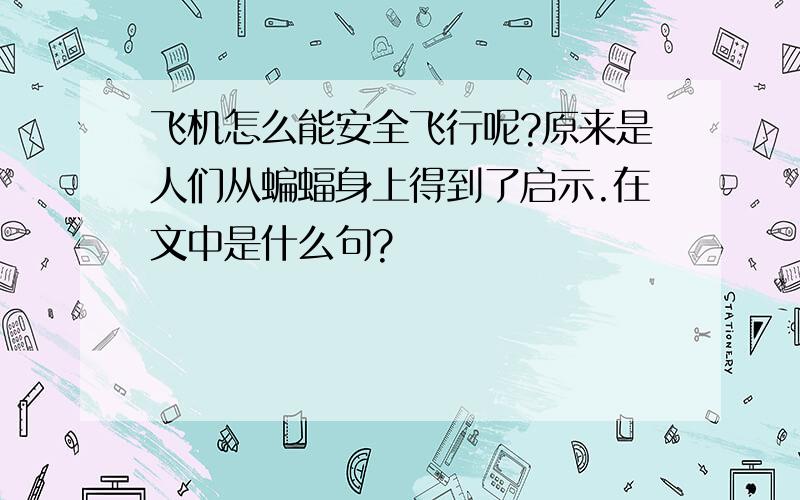 飞机怎么能安全飞行呢?原来是人们从蝙蝠身上得到了启示.在文中是什么句?