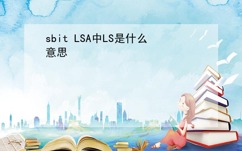 sbit LSA中LS是什么意思