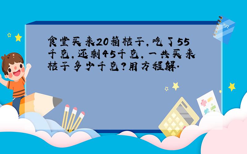 食堂买来20箱桔子,吃了55千克,还剩45千克,一共买来桔子多少千克?用方程解.