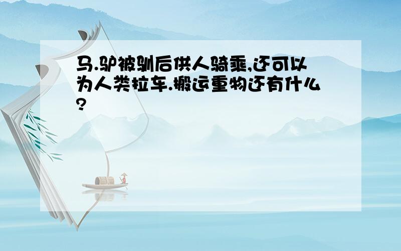 马.驴被驯后供人骑乘,还可以为人类拉车.搬运重物还有什么?