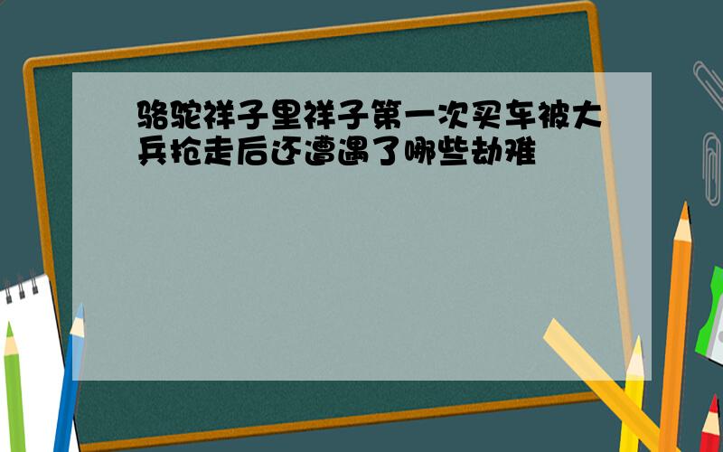 骆驼祥子里祥子第一次买车被大兵抢走后还遭遇了哪些劫难