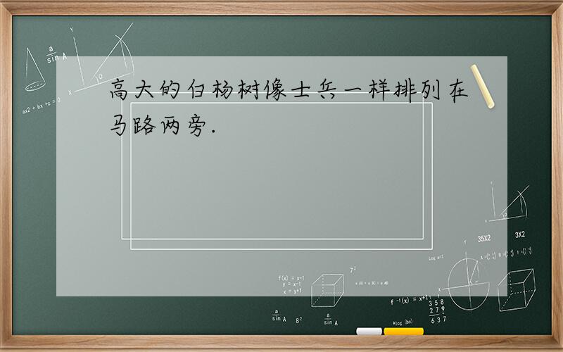 高大的白杨树像士兵一样排列在马路两旁.