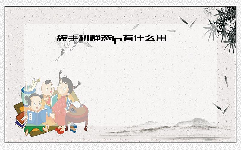 魅族手机静态ip有什么用