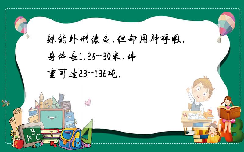 鲸的外形像鱼,但却用肺呼吸,身体长1.25--30米,体重可达23--136吨.