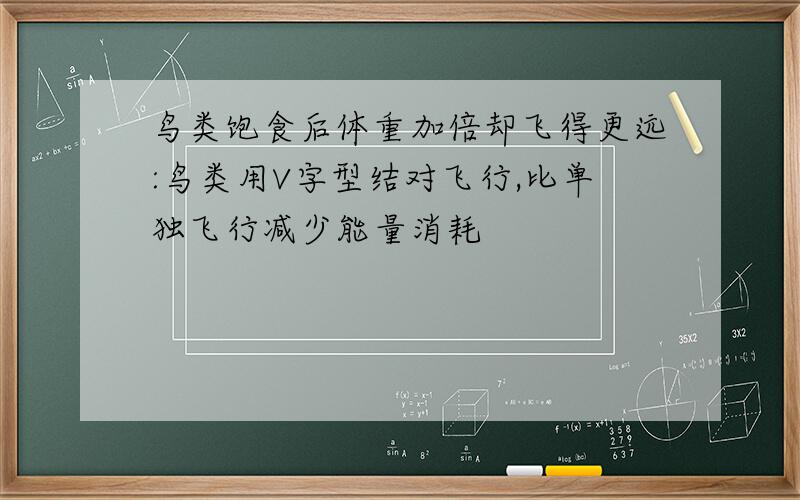 鸟类饱食后体重加倍却飞得更远:鸟类用V字型结对飞行,比单独飞行减少能量消耗