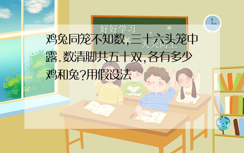 鸡兔同笼不知数,三十六头笼中露.数清脚共五十双,各有多少鸡和兔?用假设法