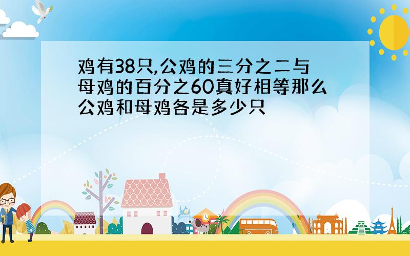 鸡有38只,公鸡的三分之二与母鸡的百分之60真好相等那么公鸡和母鸡各是多少只