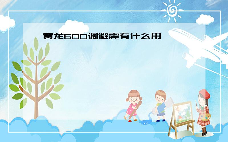 黄龙600调避震有什么用