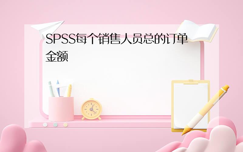 SPSS每个销售人员总的订单金额