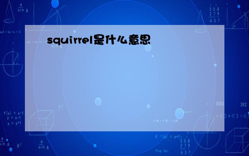 squirrel是什么意思