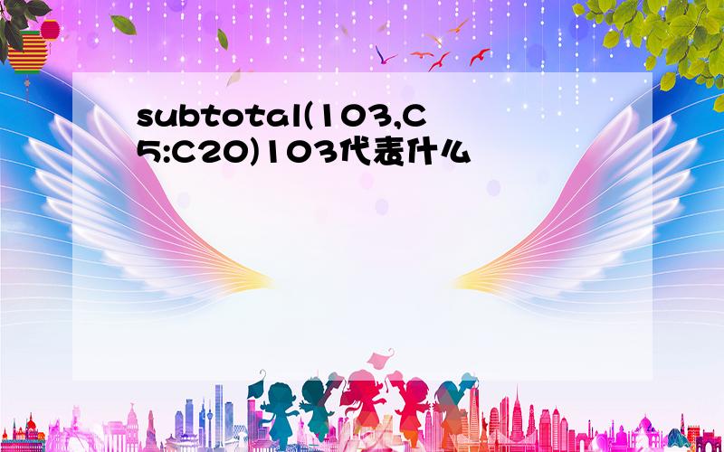 subtotal(103,C5:C20)103代表什么