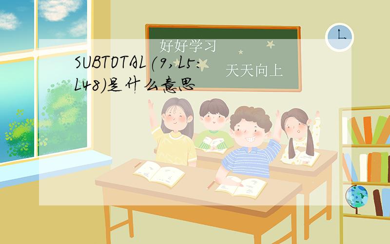 SUBTOTAL(9,L5:L48)是什么意思