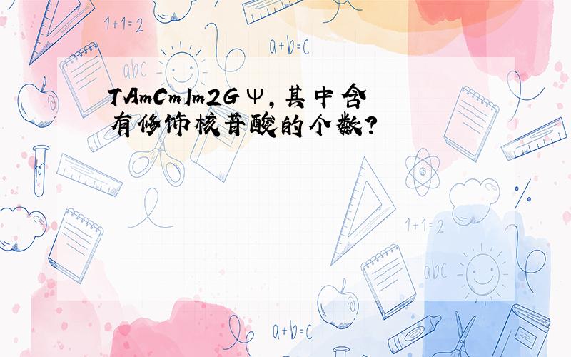 TAmCmIm2Gψ,其中含有修饰核苷酸的个数?