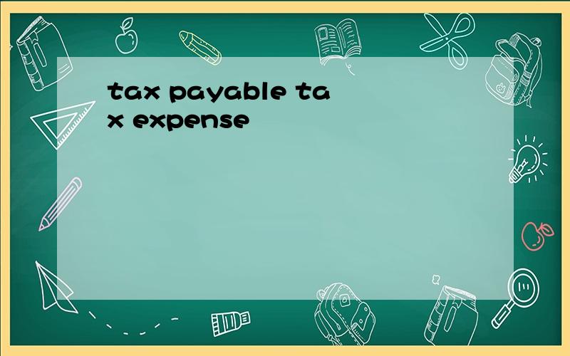 tax payable tax expense