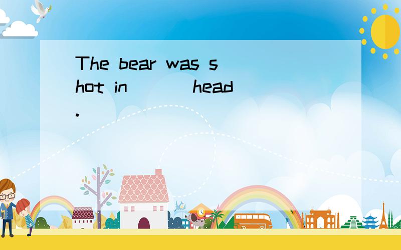 The bear was shot in___ head.