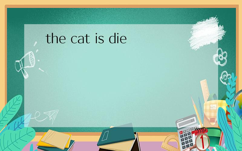 the cat is die