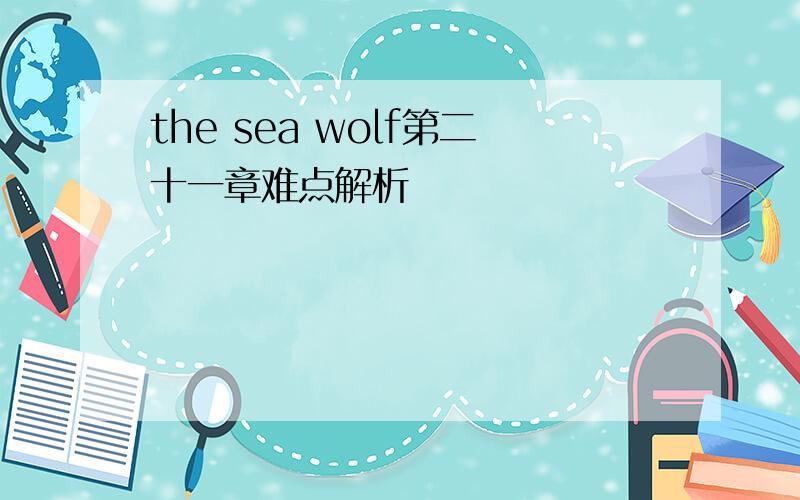 the sea wolf第二十一章难点解析