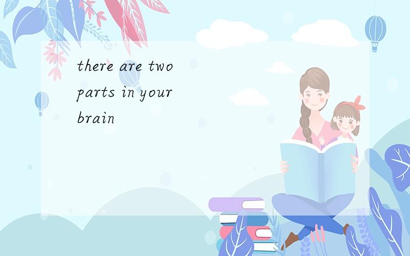 there are two parts in your brain