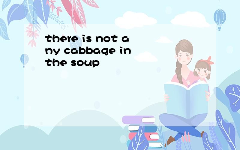 there is not any cabbage in the soup