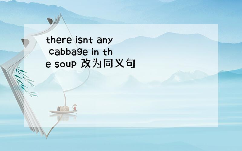 there isnt any cabbage in the soup 改为同义句