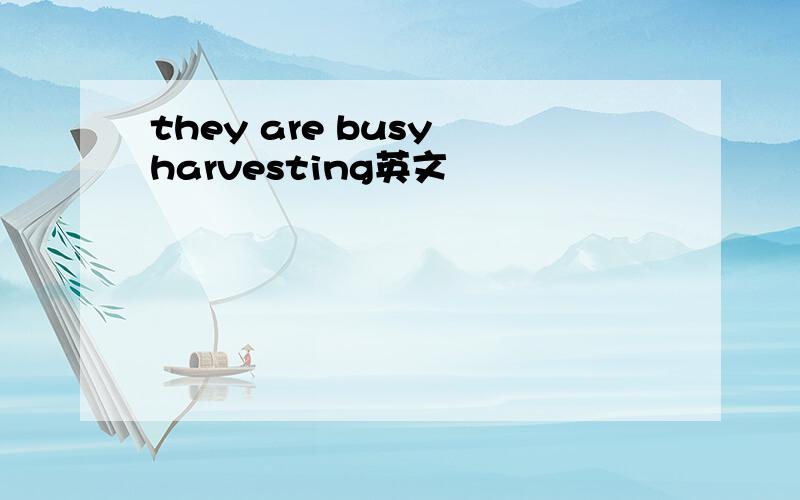 they are busy harvesting英文