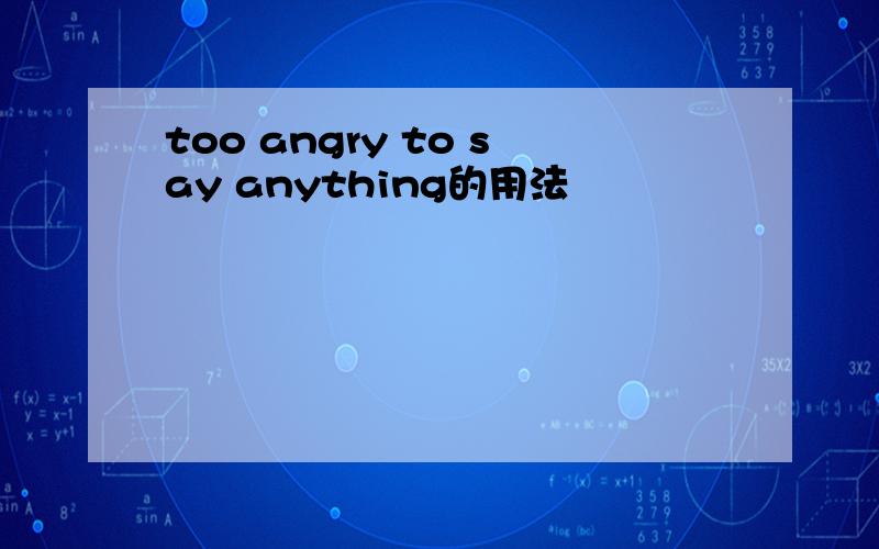 too angry to say anything的用法