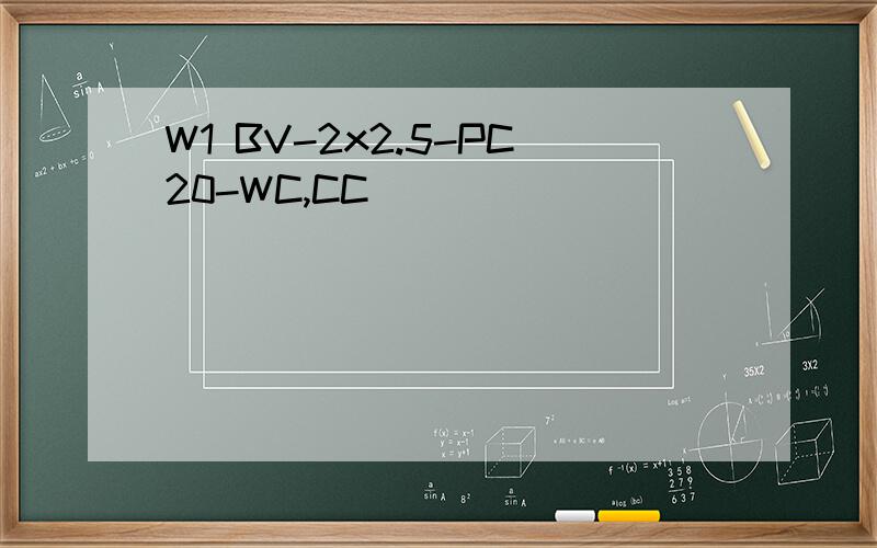 W1 BV-2x2.5-PC20-WC,CC