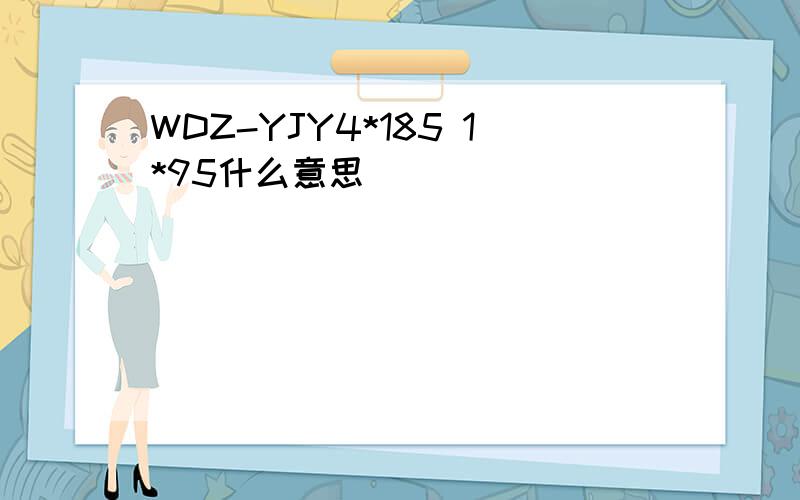 WDZ-YJY4*185 1*95什么意思