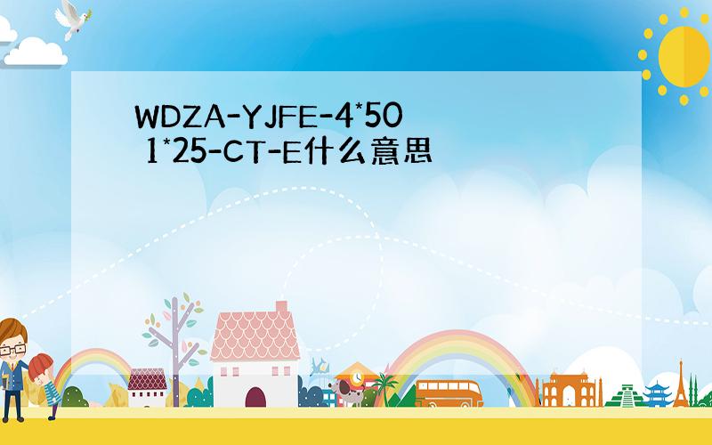 WDZA-YJFE-4*50 1*25-CT-E什么意思