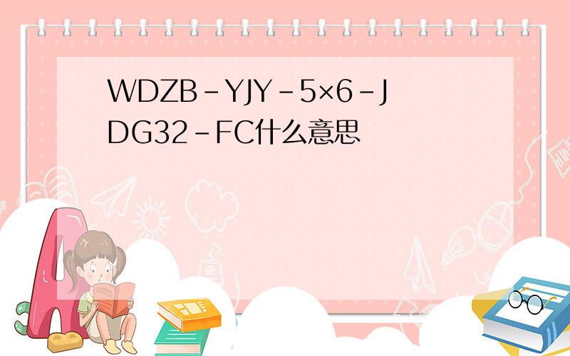 WDZB-YJY-5×6-JDG32-FC什么意思