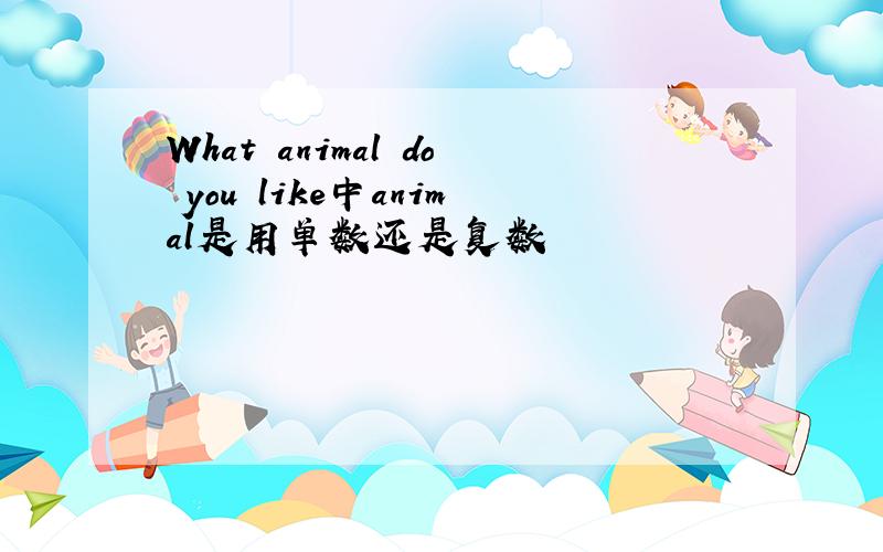 What animal do you like中animal是用单数还是复数