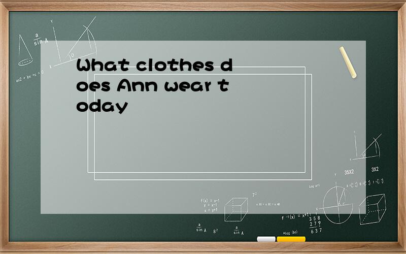 What clothes does Ann wear today