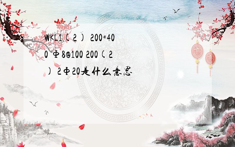 WKL1(2) 200*400 Φ8@100 200(2) 2Ф20是什么意思