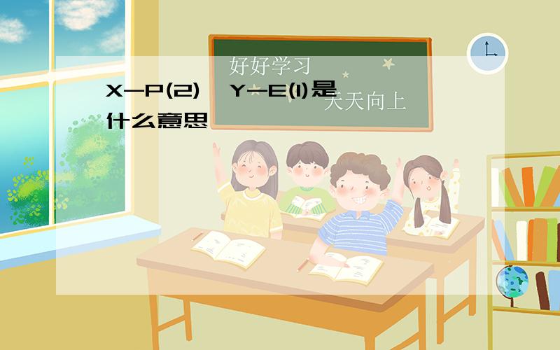 X-P(2),Y-E(1)是什么意思