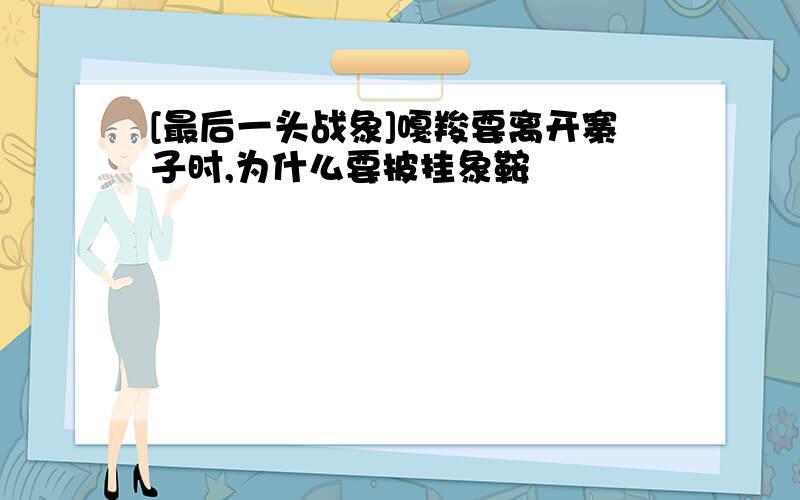 [最后一头战象]嘎羧要离开寨子时,为什么要披挂象鞍