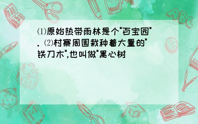 ⑴原始热带雨林是个"百宝园". ⑵村寨周围栽种着大量的"铁刀木",也叫做"黑心树