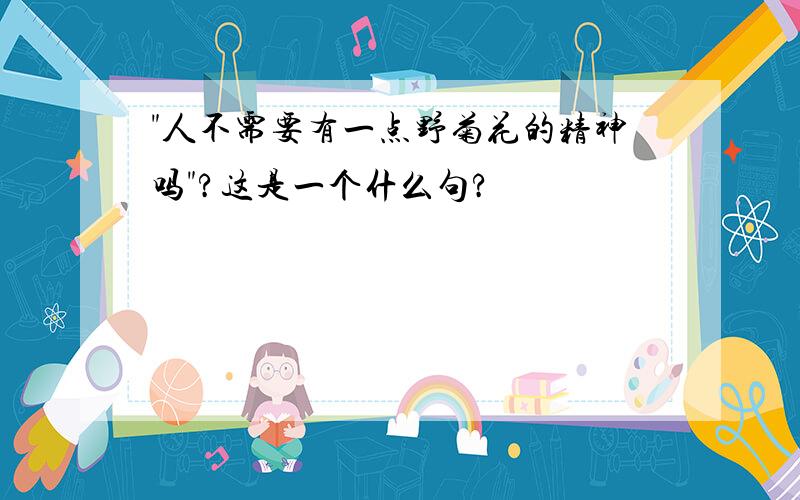 "人不需要有一点野菊花的精神吗"?这是一个什么句?