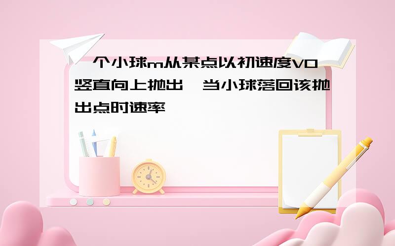 一个小球m从某点以初速度V0竖直向上抛出,当小球落回该抛出点时速率