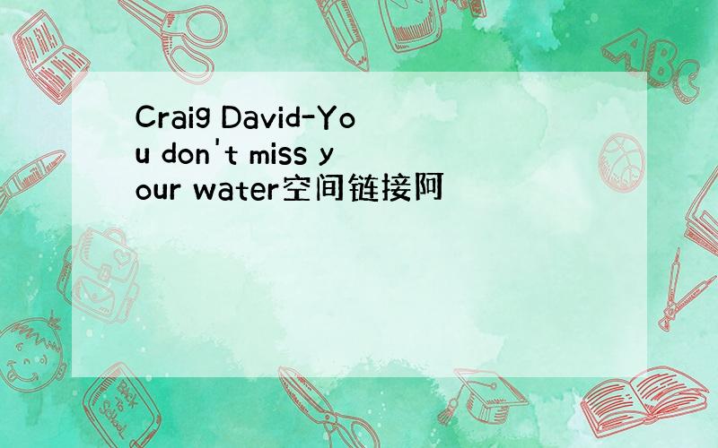 Craig David-You don't miss your water空间链接阿