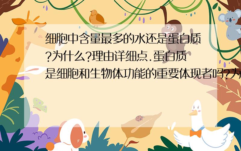 细胞中含量最多的水还是蛋白质?为什么?理由详细点.蛋白质是细胞和生物体功能的重要体现者吗?为什么?